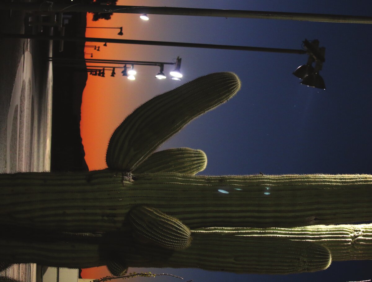 2021 Northeastern Grand