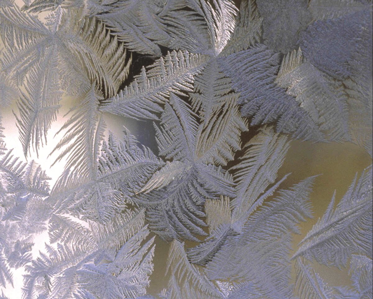 All-American Team Captains