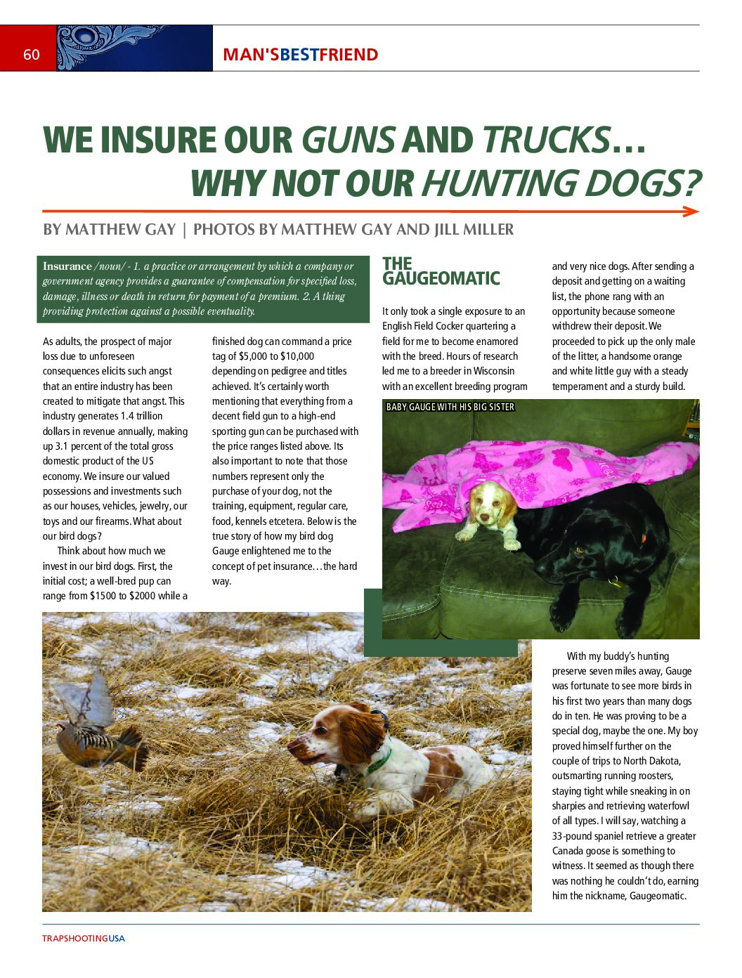 Insuring Hunting Dogs
