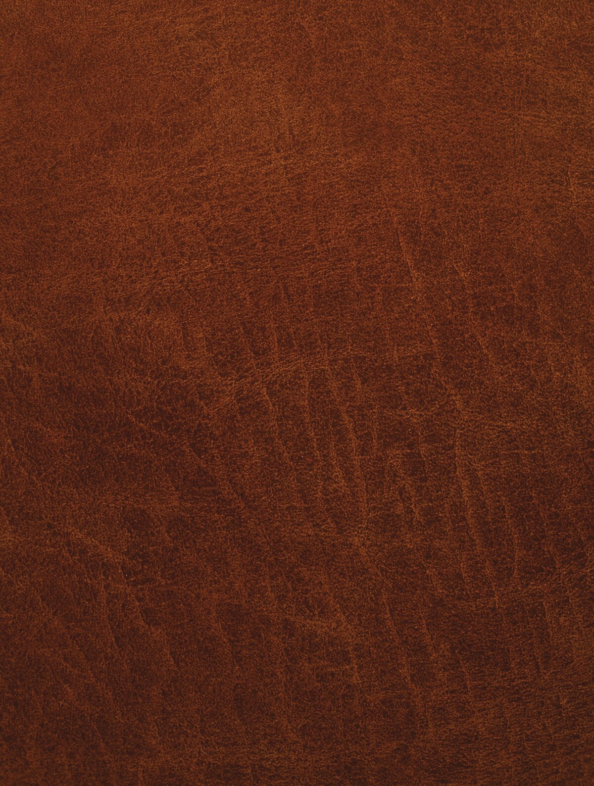 Remembering Sandy Tidwell