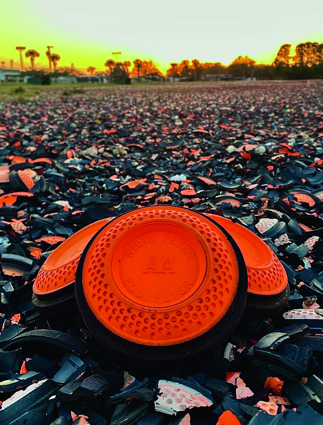 Winchester / Whiteflyer Shoot Recap